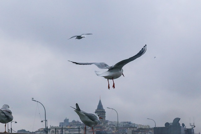 İskandinavya’da Ekonomik Seyahat Mümkün mü? İskandinavya’da Ekonomik Seyahat Mümkün mü?